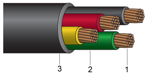 الصورة3